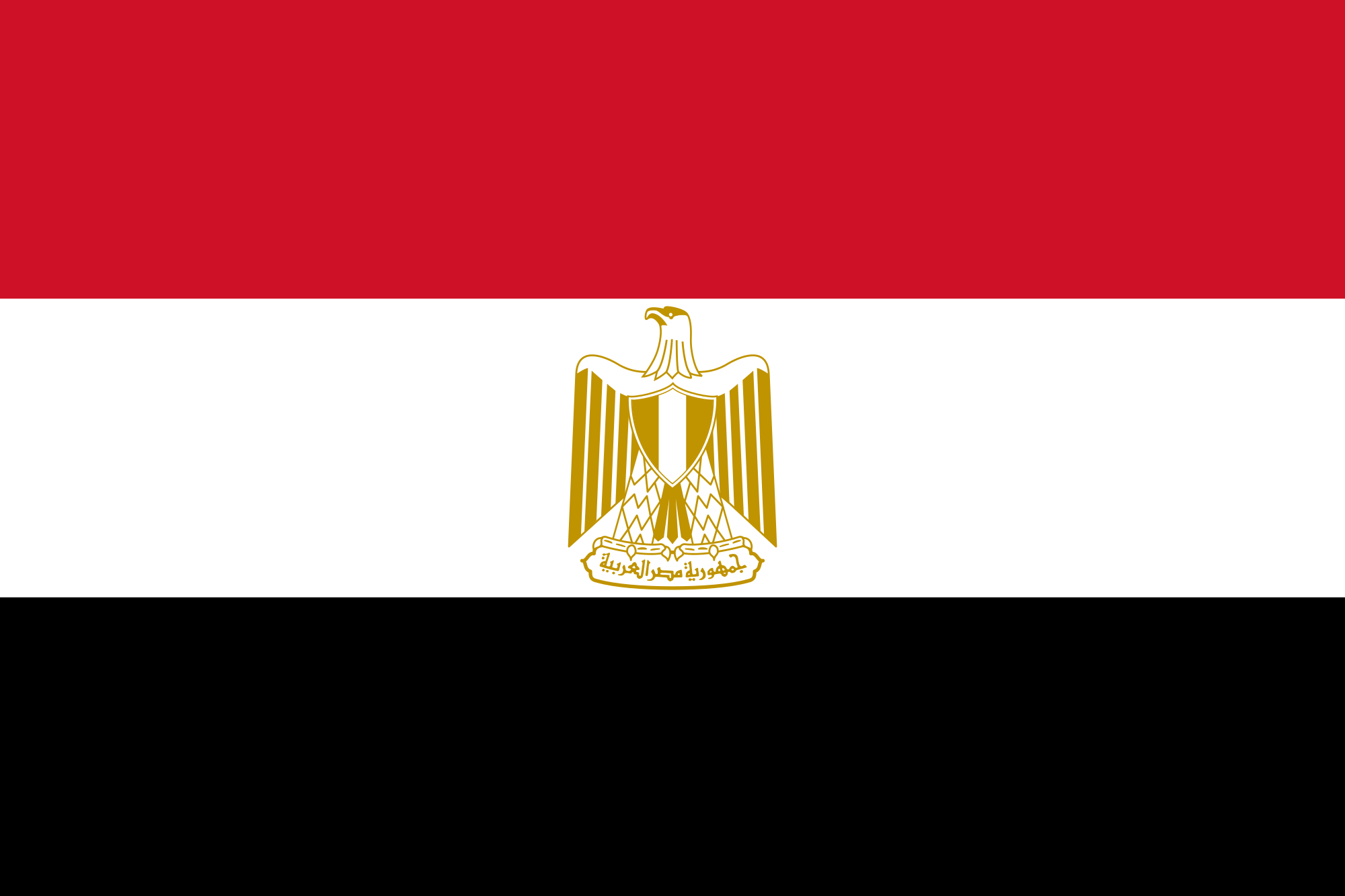 تصدي الخارجية المصرية للخلية التركية الإلكترونية  بمصر