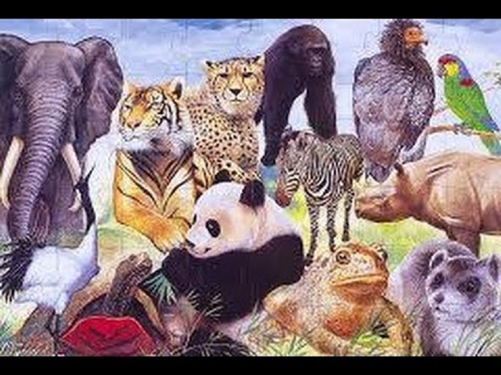 الحيوانات المعرضة للانقراض تتعرض للأكل من قبل الأشخاص