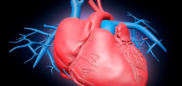 ما هي أكثر الحالات التي تصاب بالنوبة القلبية