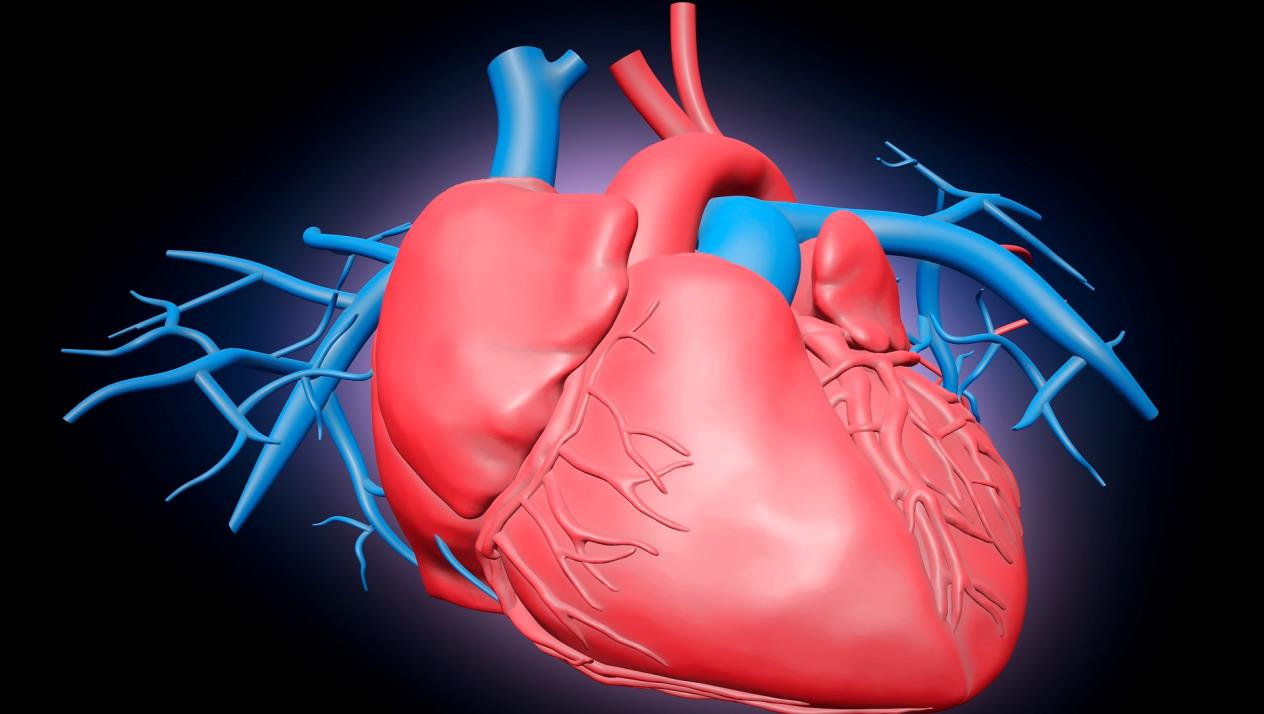 ما هي أكثر الحالات التي تصاب بالنوبة القلبية