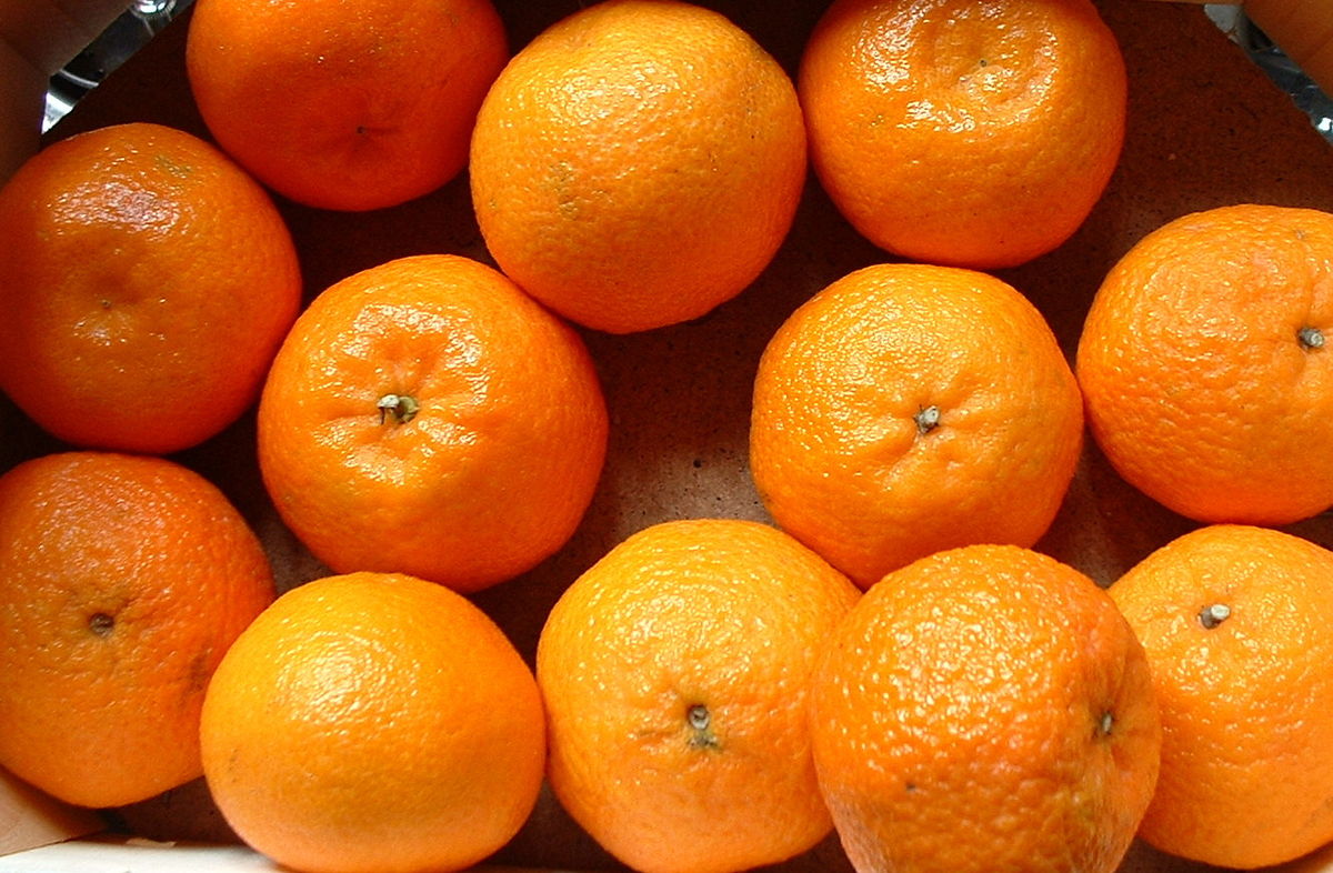 بشرى لمرضى السكر فاكهة البرتقال تنظم نسبة الجلوكوز في الدم 