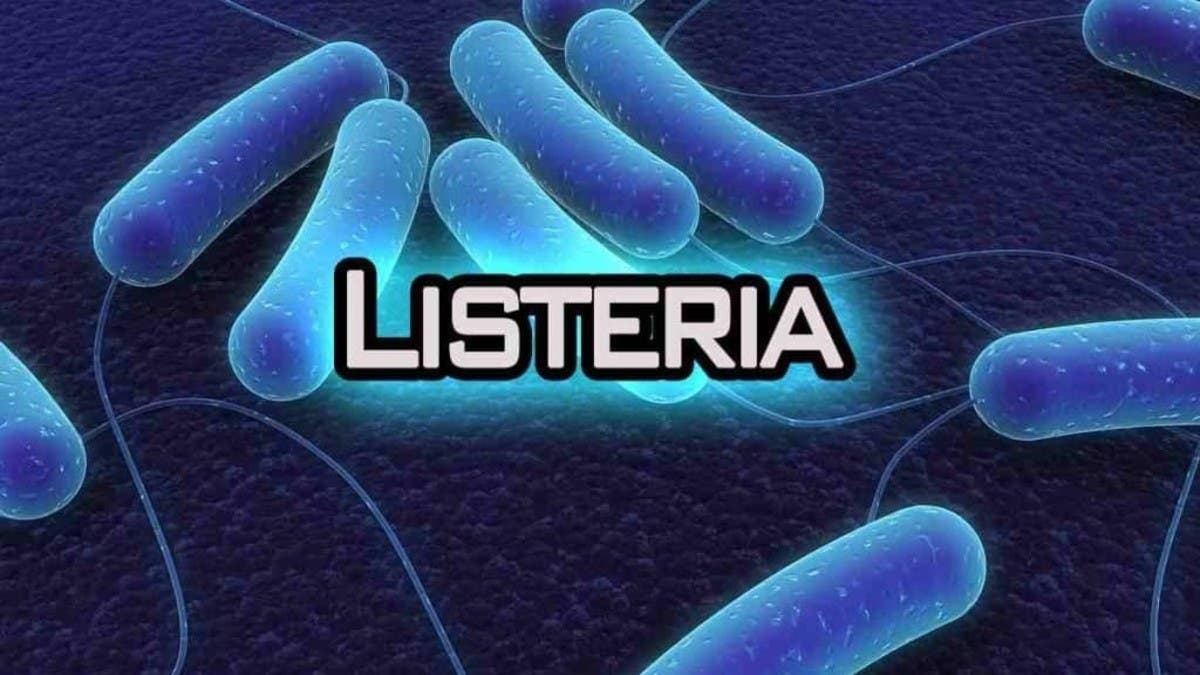 ما هي جرثومة الليستيريا سببها وأعراضها والوقاية منها