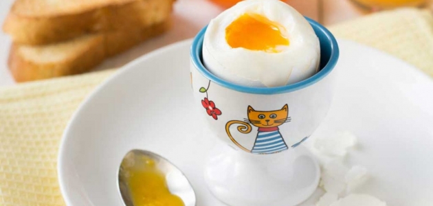  هل هناك عدد معين من البيض تتناوله يوميا لصحتك