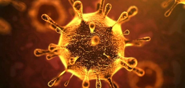 أمراض حيوانية مستجدة العدوى بفيروس هيندرا
