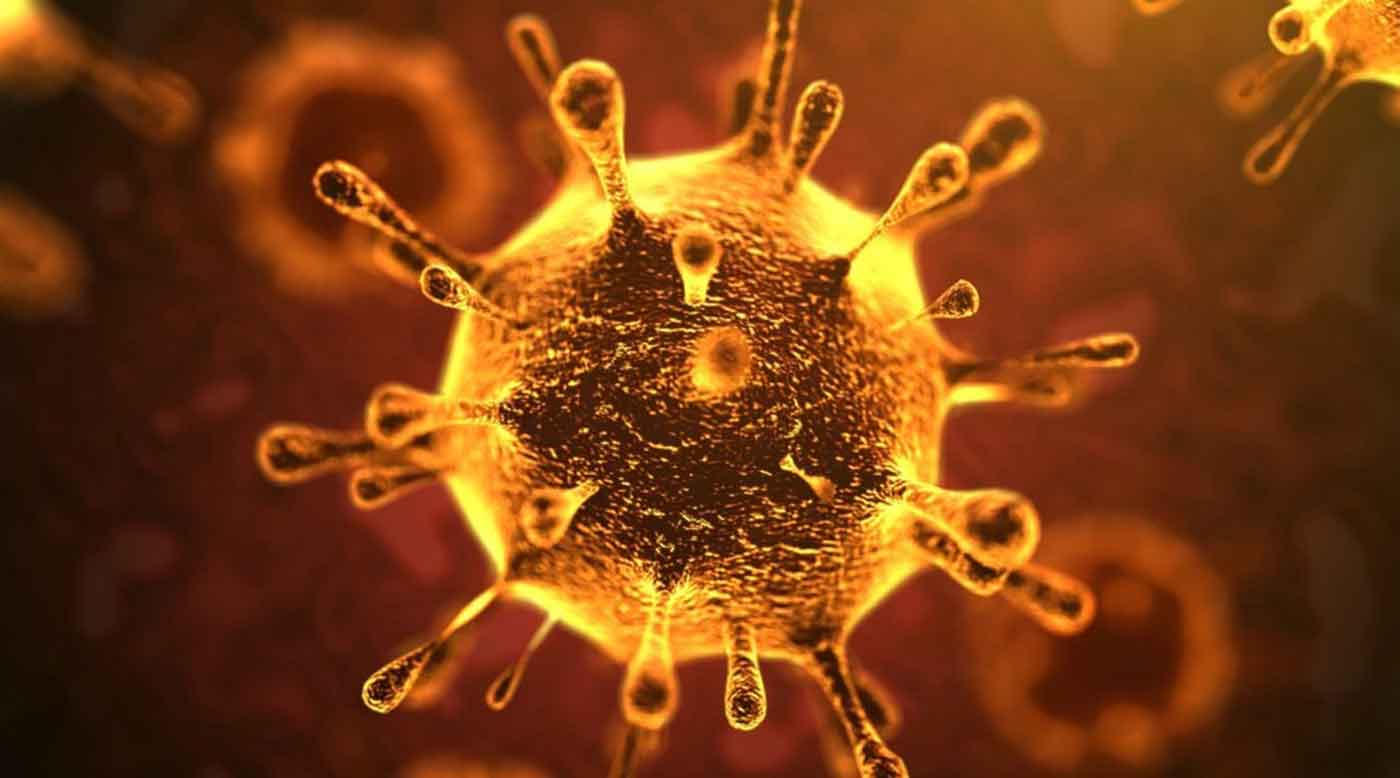 أمراض حيوانية مستجدة العدوى بفيروس هيندرا