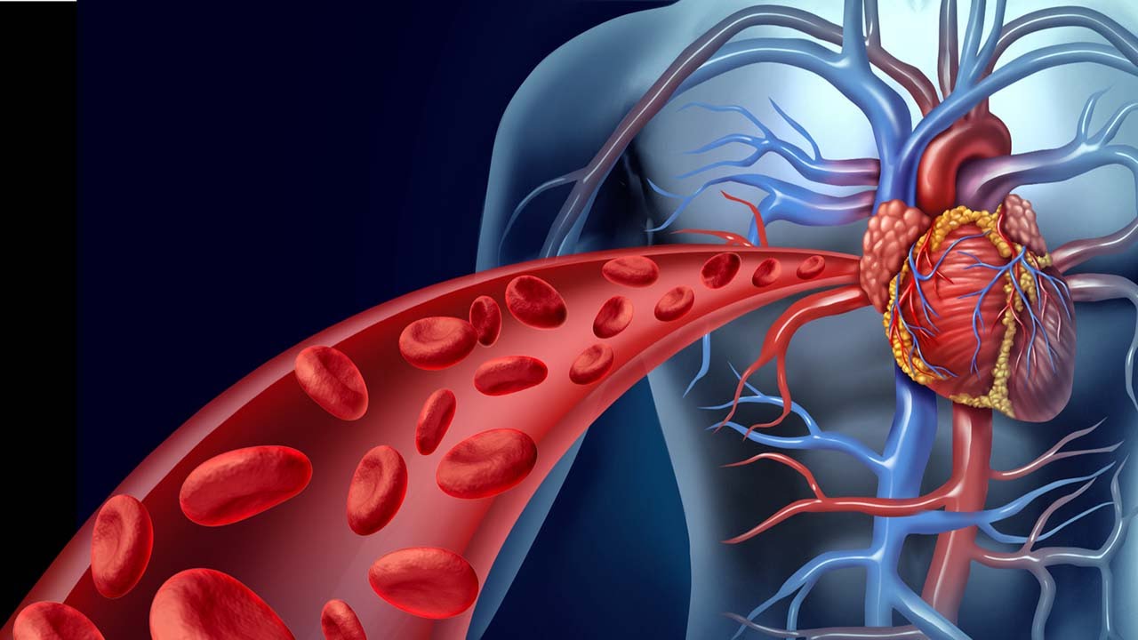 تعرف على القلس المترالي ومخاطره وطرق علاجه