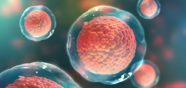 دور الخلايا الجذعية في علاج الأمراض