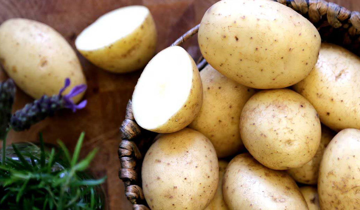 أضرار وفوائد ناتجة عن تناول البطاطس بكثرة