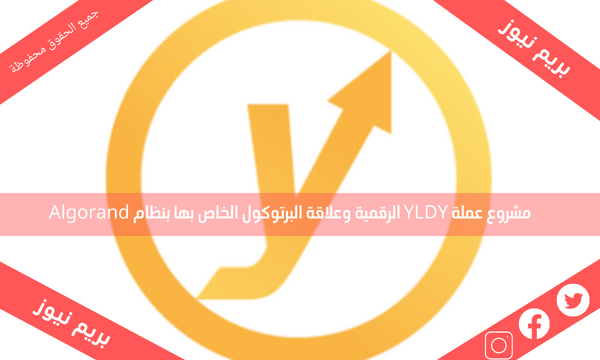 مشروع عملة YLDY الرقمية وعلاقة البرتوكول الخاص بها بنظام Algorand
