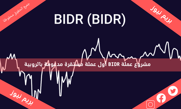 مشروع عملة BIDR أول عملة مستقرة مدعومة بالروبية