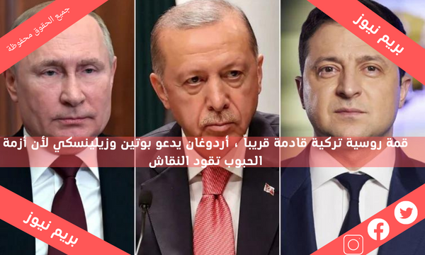 قمة روسية تركية قادمة قريباً ، أردوغان يدعو بوتين وزيلينسكي لأن أزمة الحبوب تقود النقاش