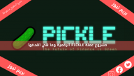 مشروع عملة PICKLE الرقمية وما هي اهدفها