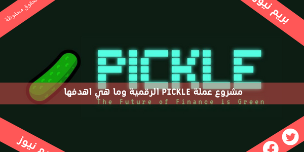 مشروع عملة PICKLE الرقمية وما هي اهدفها