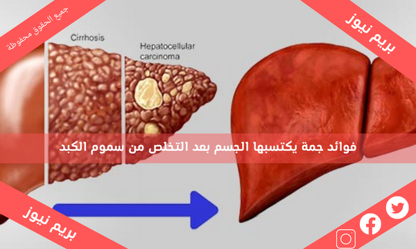 فوائد جمة يكتسبها الجسم بعد التخلص من سموم الكبد