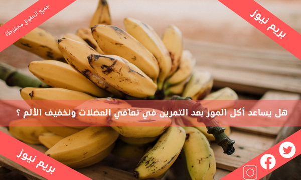 هل يساعد أكل الموز بعد التمرين في تعافي العضلات ونخفيف الألم ؟