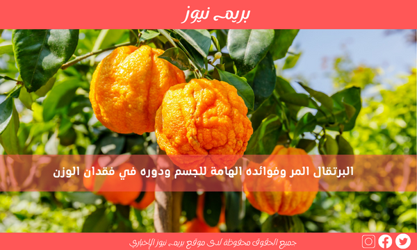 البرتقال المر وفوائده الهامة للجسم ودوره في فقدان الوزن