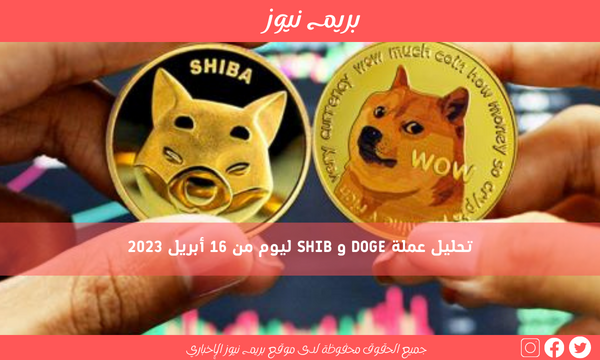 تحليل عملة DOGE و SHIB ليوم من 16 أبريل 2023