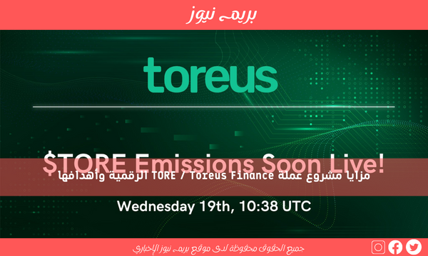 مزايا مشروع عملة TORE / Toreus Finance الرقمية وأهدافها