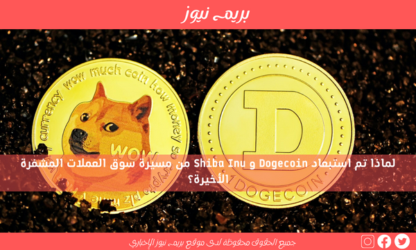 لماذا تم استبعاد Dogecoin و Shiba Inu من مسيرة سوق العملات المشفرة الأخيرة؟