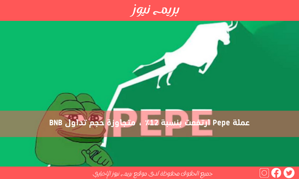 عملة Pepe ارتفعت بنسبة 12٪ ، متجاوزة حجم تداول BNB